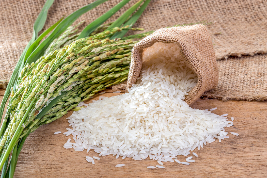 HYDROLYZED RICE PROTEIN (Hydrolysierte Reisproteine) Wirkstoffe